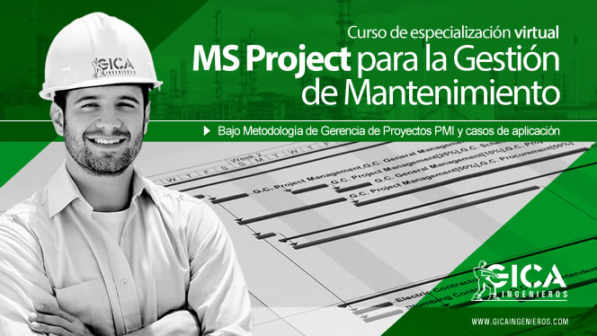 Ms Project